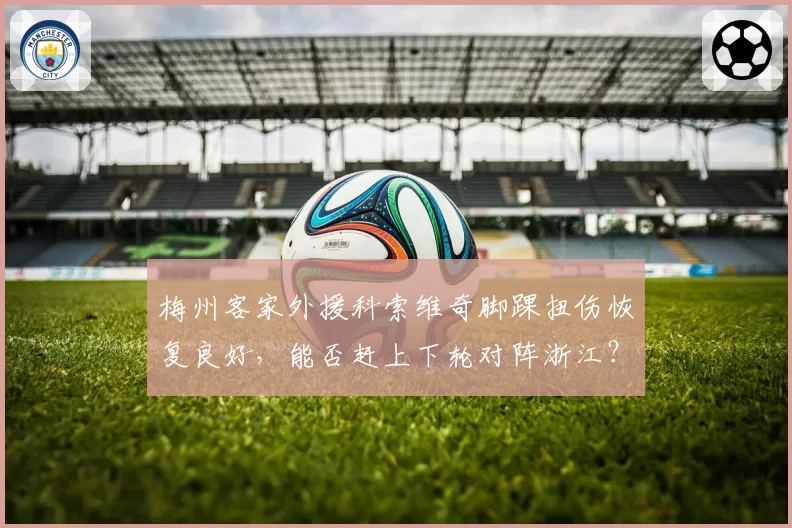 梅州客家外援科索维奇脚踝扭伤恢复良好，能否赶上下轮对阵浙江？