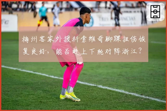 梅州客家外援科索维奇脚踝扭伤恢复良好，能否赶上下轮对阵浙江？